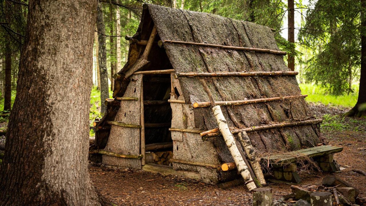 Hütte im Wald. Hütte im Wald.