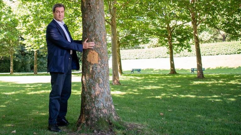 10.07.2019, Bayern, München: Markus Söder (CSU), Ministerpräsident von Bayern, steht neben einem Baum im Hofgarten hinter der bayerischen Staatskanzlei. Söder stellte am Mittwoch in einem Pressegespräch neue Klimaschutzforderungen vor - dazu zählt auch die geplante Pflanzung Millionen zusätzlicher Bäume. Foto: Peter Kneffel/dpa | Verwendung weltweit 10.07.2019, Bayern, München: Markus Söder (CSU), Ministerpräsident von Bayern, steht neben einem Baum im Hofgarten hinter der bayerischen Staatskanzlei. Söder stellte am Mittwoch in einem Pressegespräch neue Klimaschutzforderungen vor - dazu zählt auch die geplante Pflanzung Millionen zusätzlicher Bäume. Foto: Peter Kneffel/dpa | Verwendung weltweit