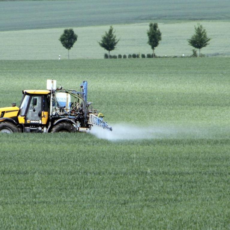 Ein Traktor spritzt in Thüringen auf einem Feld im Mai Pflanzenschutzmittel auf.