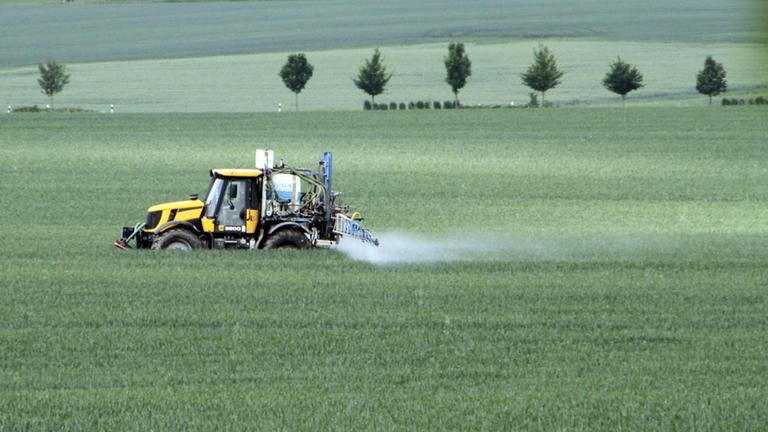 Ein Traktor spritzt in Thüringen auf einem Feld im Mai Pflanzenschutzmittel auf.