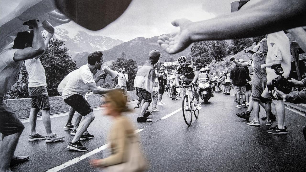 Ein Besucher geht in der Foto-Gruppenausstellung "Mythos Tour de France" an einem Bild von Nicola Mesken vorbei. Ein Besucher geht in der Foto-Gruppenausstellung "Mythos Tour de France" an einem Bild von Nicola Mesken vorbei.