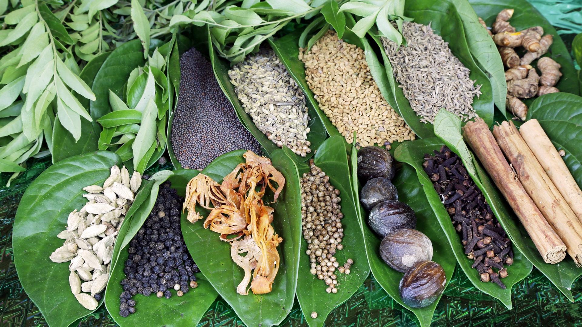 Ayurvedische Kräuter und Gewürze, aufgenommen in Sri Lanka Ayurvedische Kräuter und Gewürze, aufgenommen in Sri Lanka