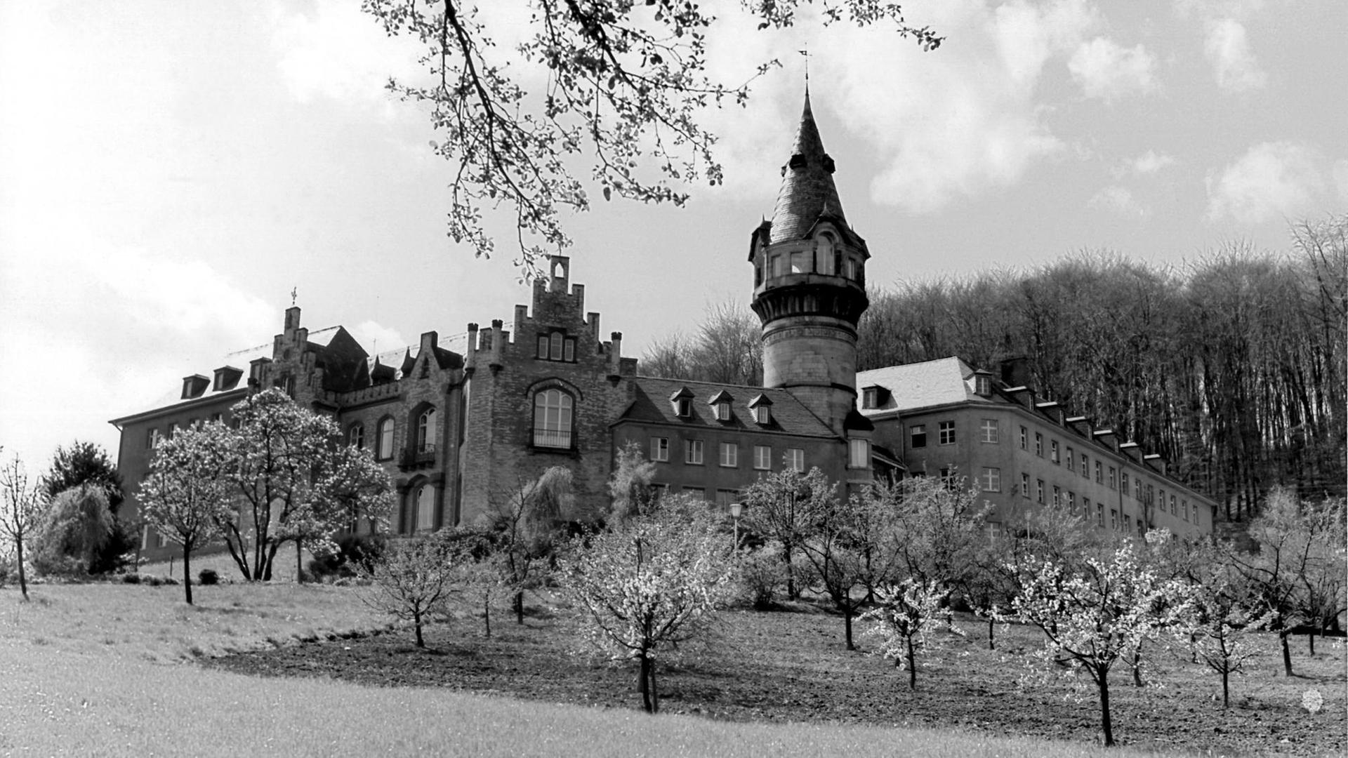 Ansicht der Rosenburg an einem Hang