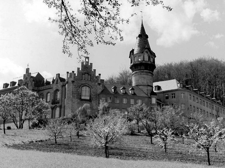 Ansicht der Rosenburg an einem Hang