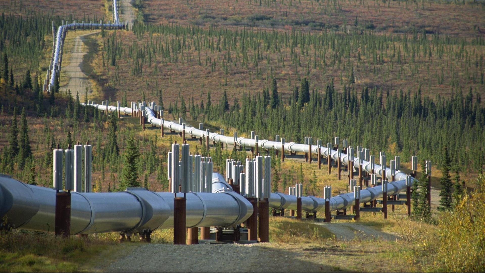 Eine Ölleitung verläuft über Permafrostboden in Alaska.