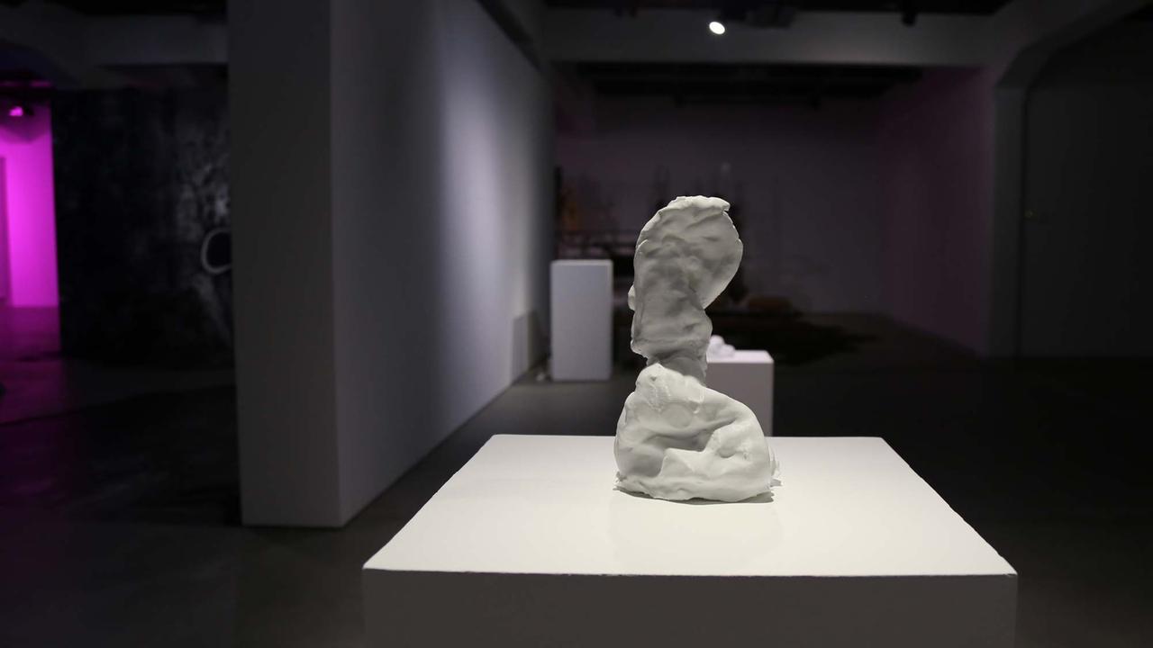 Una Szeeman: "Composition of a Counterpart" 2018 in der Ausstellung "Future Love - Begehren und Verbundenheit im Zeitalter geformter Natur" im HeK (Haus der elektronischen Künste Basel). Sie findet vom 18.01.2018 - 15.04.2018 statt. Una Szeeman: "Composition of a Counterpart" 2018 in der Ausstellung "Future Love - Begehren und Verbundenheit im Zeitalter geformter Natur" im HeK (Haus der elektronischen Künste Basel). Sie findet vom 18.01.2018 - 15.04.2018 statt.