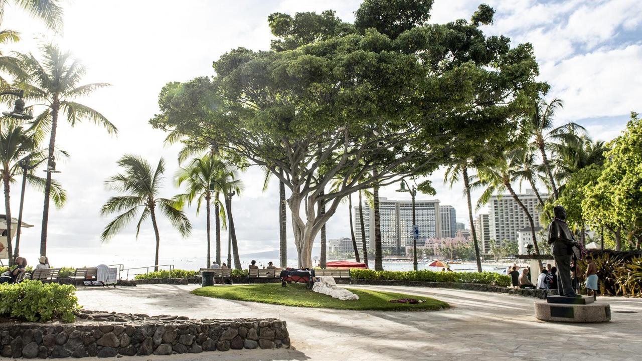 Ein Schlafsack im Schatten eines Baumes dient als Schlafplätze auf der Waikiki Promenade. Ein Schlafsack im Schatten eines Baumes dient als Schlafplätze auf der Waikiki Promenade.