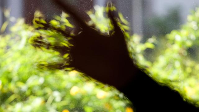Eine verschwommene Hand verstellt den Blick zum Fenster, aufgenommen in Köln am 16.04.2011.