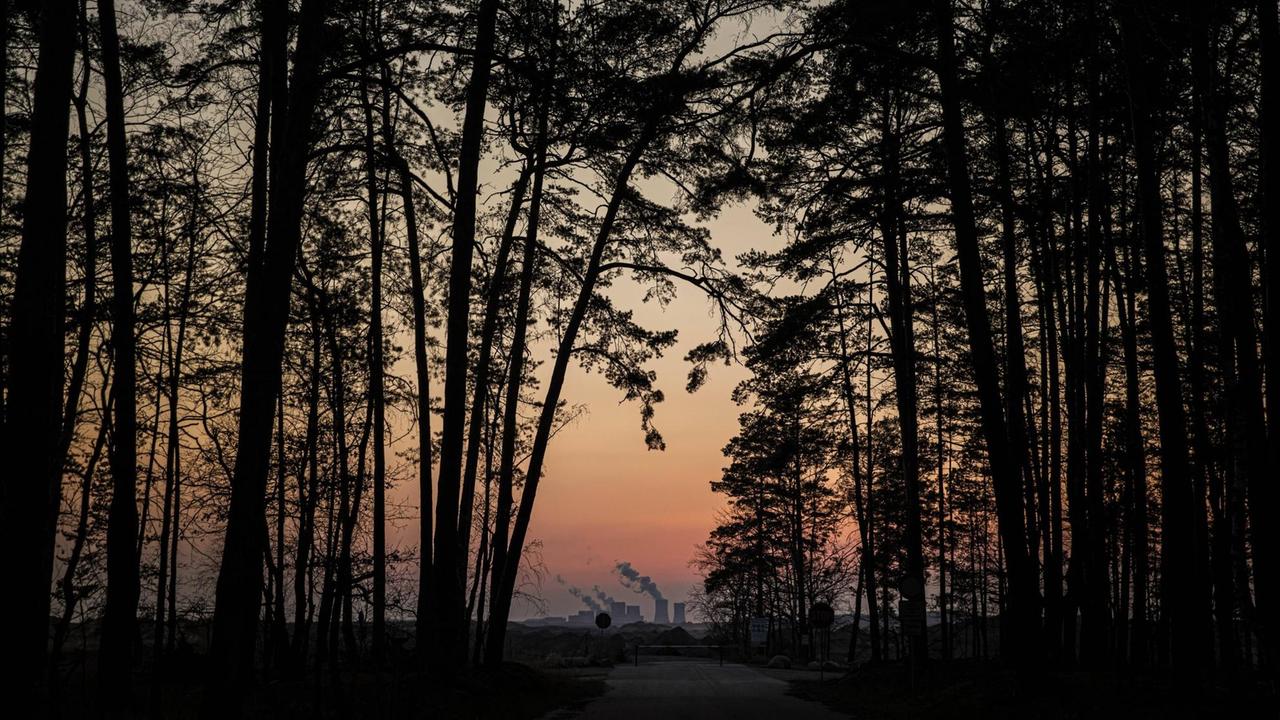 Das Kohlekraftwerk Boxberg zeichnet sich hinter einem Wald ab, aufgenommen zur Abenddaemmerung in Hammerstadt. Das Kohlekraftwerk Boxberg zeichnet sich hinter einem Wald ab, aufgenommen zur Abenddaemmerung in Hammerstadt.