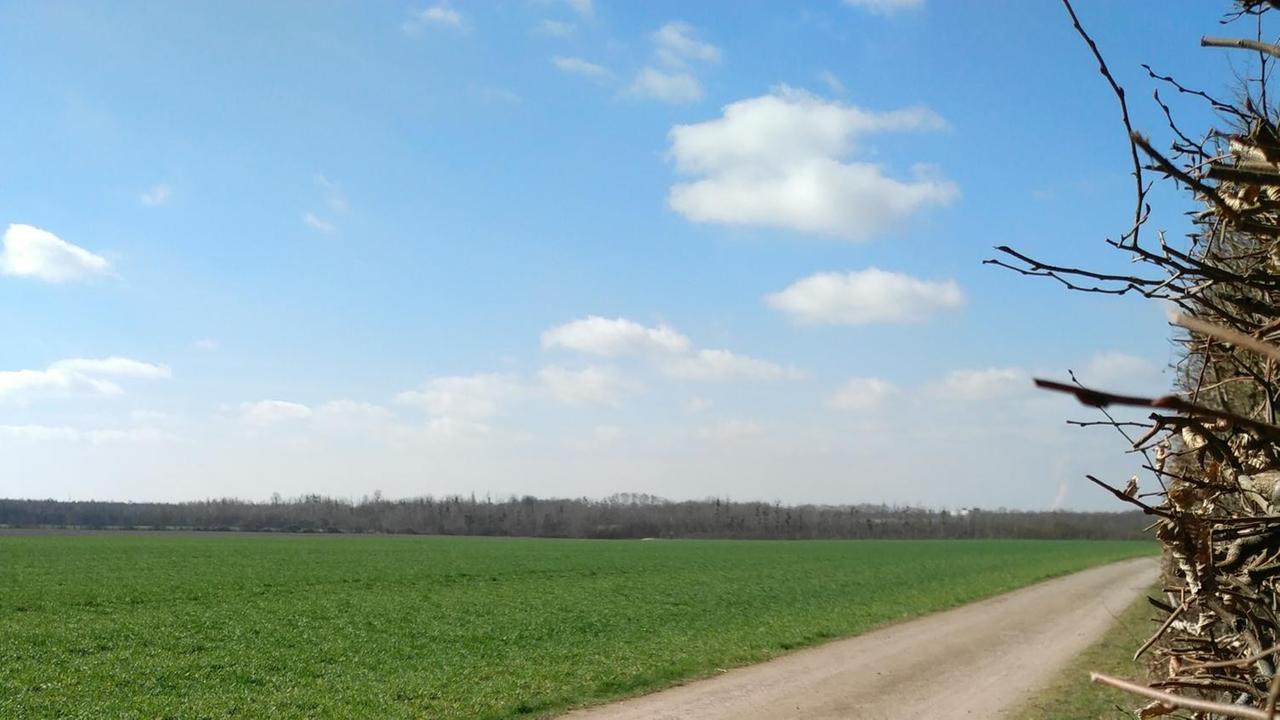 Wetter - Meist sonnig - regional Wolken, örtlich Schauer- und Gewitterrisiko