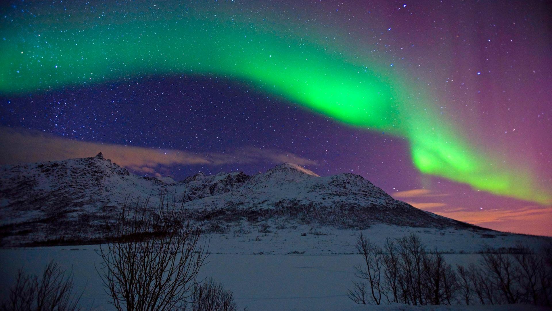 Nordlicht im norwegischen Kattfjordeidet Nordlicht im norwegischen Kattfjordeidet