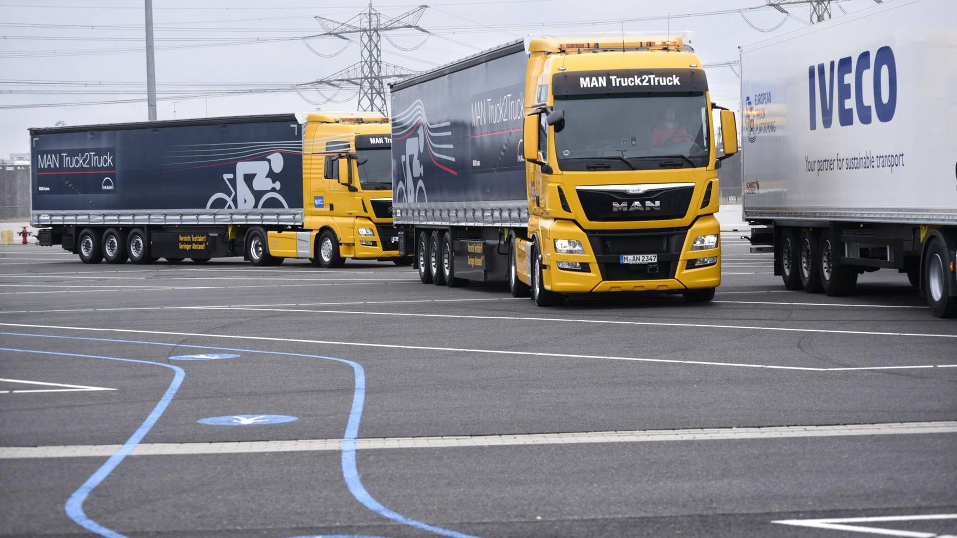 Lkw im Hafen von Rotterdam in den Niederlanden Lkw im Hafen von Rotterdam in den Niederlanden