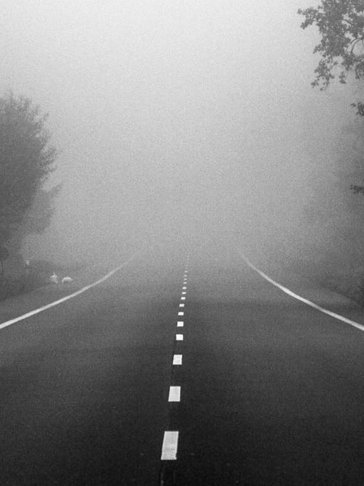 Eine Landstraße im Nebel.