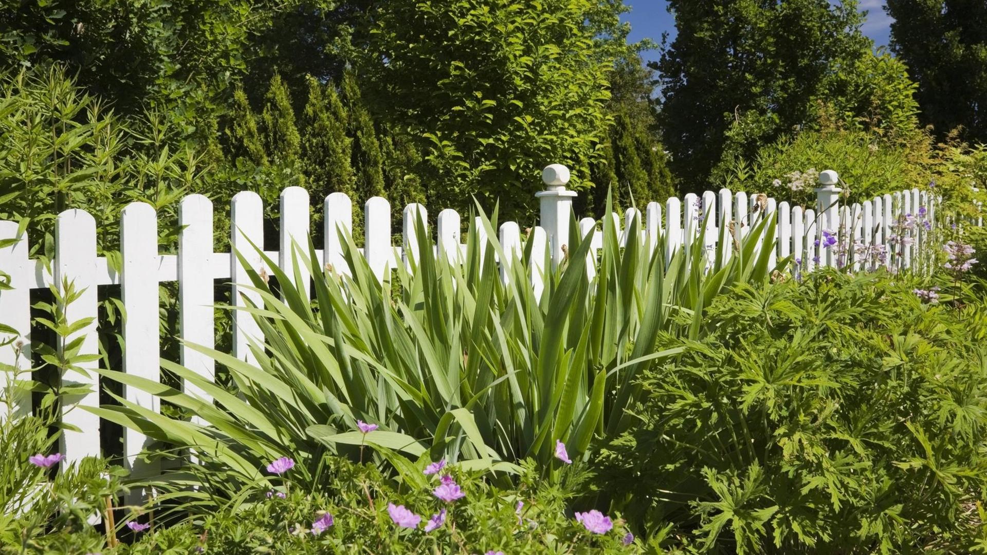 Weißer Holzlattenzaun vor Blumenbeet, im landschaftlich-gestalteten Vorgarten eines Wohnhauses, Québec, Kanada, Nordamerika ibxpmt03939375.jpg White Wood batten fence before Flowerbed in landscape layout Front a House Québec Canada North America ibxpmt03939375 JPG Weißer Holzlattenzaun vor Blumenbeet, im landschaftlich-gestalteten Vorgarten eines Wohnhauses, Québec, Kanada, Nordamerika ibxpmt03939375.jpg White Wood batten fence before Flowerbed in landscape layout Front a House Québec Canada North America ibxpmt03939375 JPG