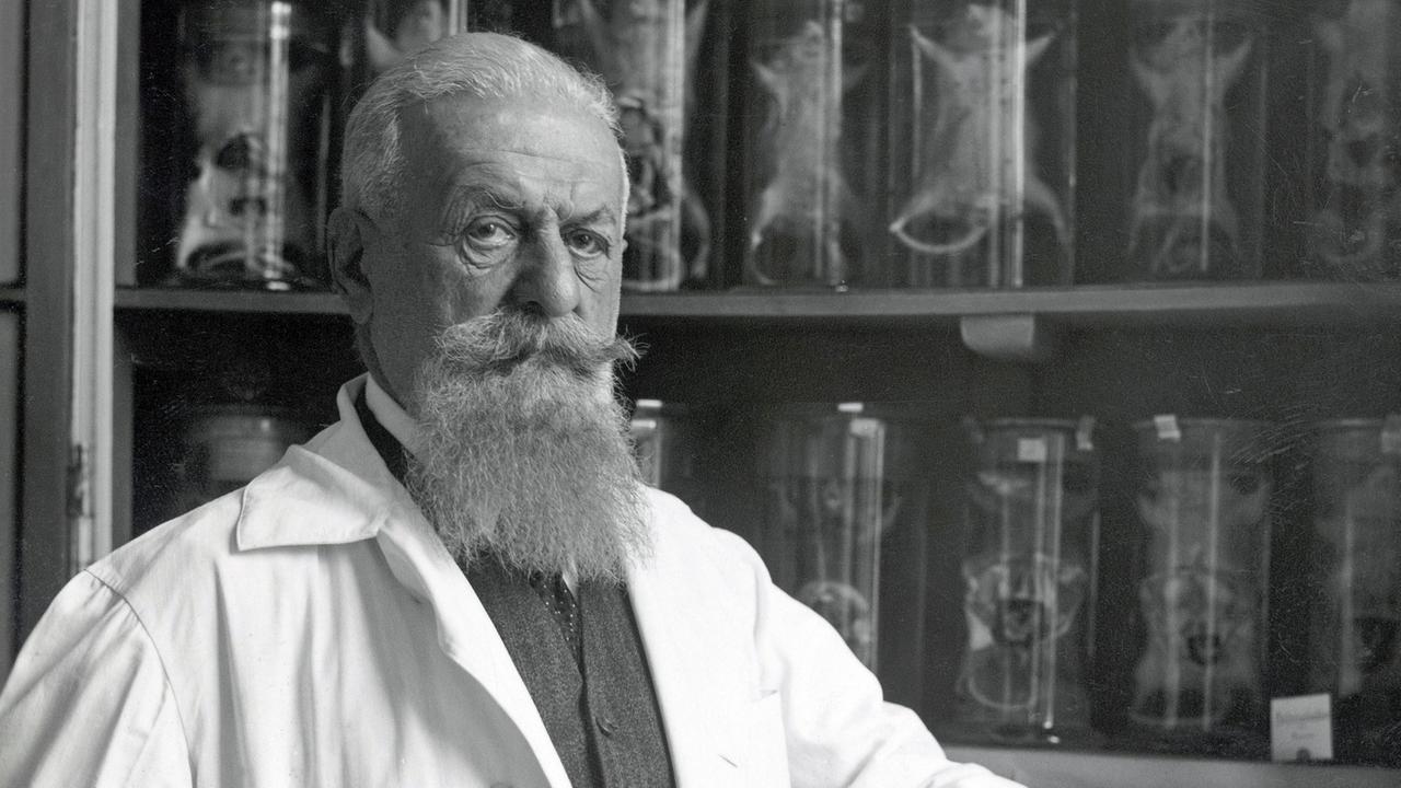 Ein Schwarz-Weiß-Foto zeigt Eugen Steinach, der vor einem Regal mit wissenschaftlichen Präparaten steht, aufgenommen um 1940. Ein Schwarz-Weiß-Foto zeigt Eugen Steinach, der vor einem Regal mit wissenschaftlichen Präparaten steht, aufgenommen um 1940.