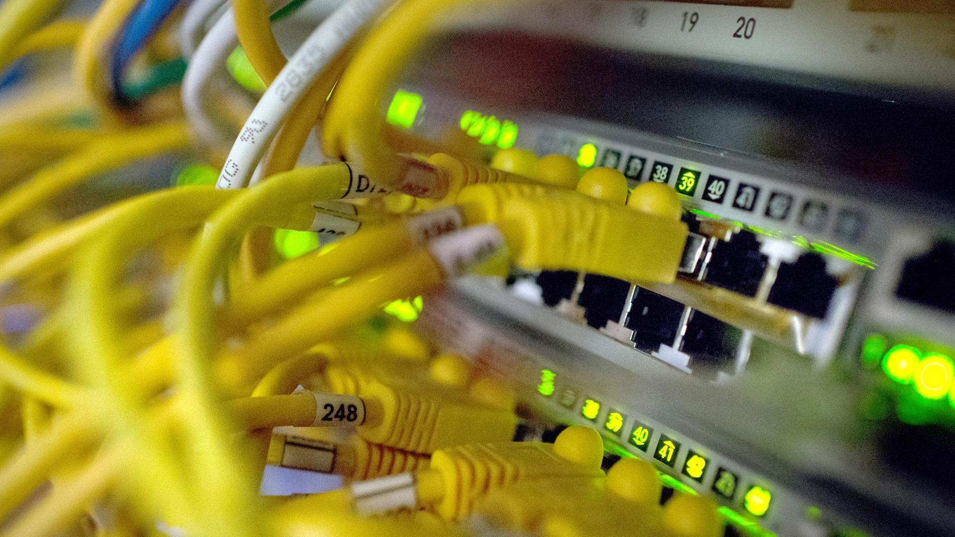 Computerkabel in einem Serverraum