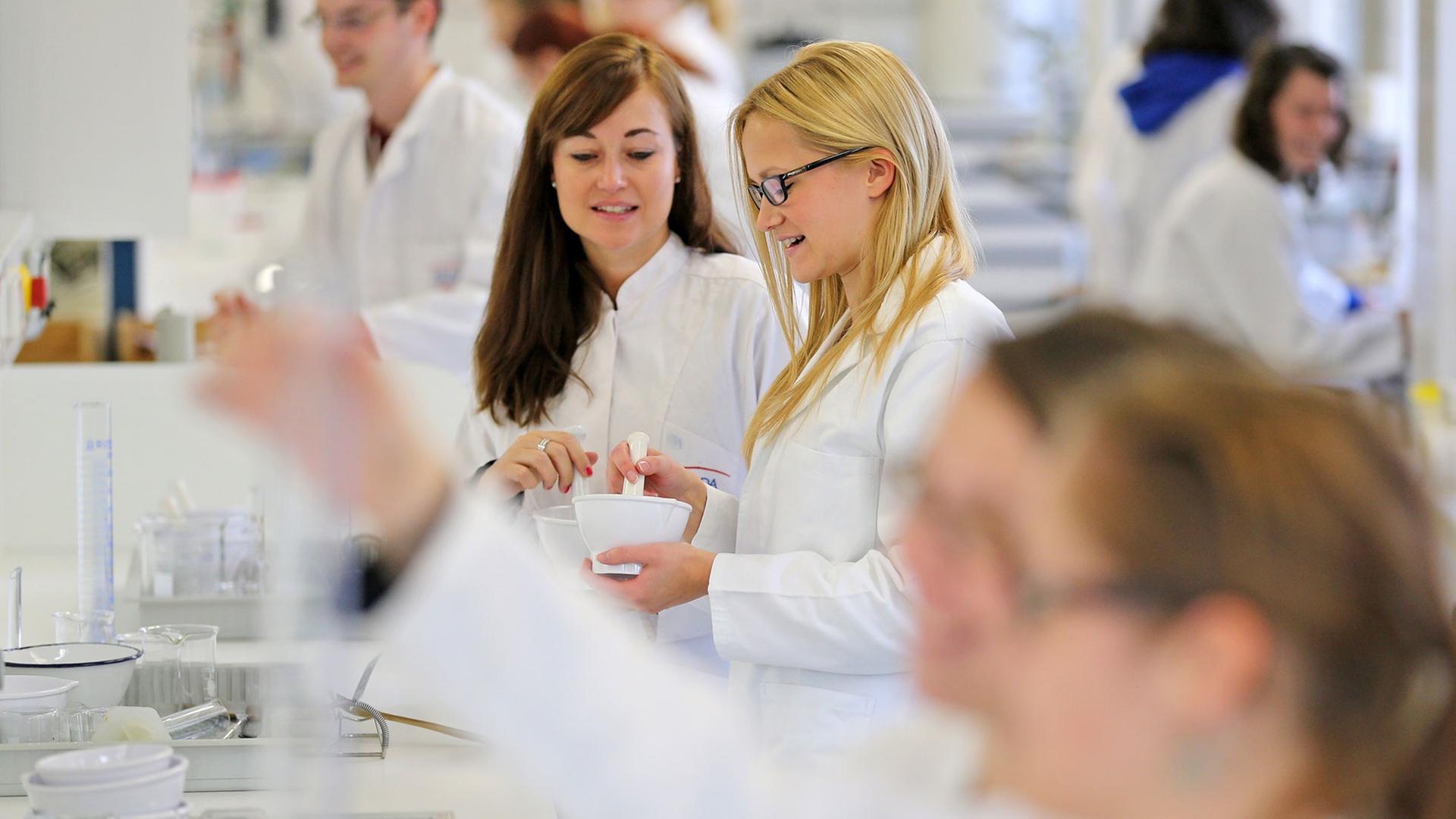 Mehrere Studenten in weißen Kitteln arbeiten in einem Labor. Eine Studentin hat einen Mörser in der Hand. Andere betrachten Reagenzgläser. Mehrere Studenten in weißen Kitteln arbeiten in einem Labor. Eine Studentin hat einen Mörser in der Hand. Andere betrachten Reagenzgläser.