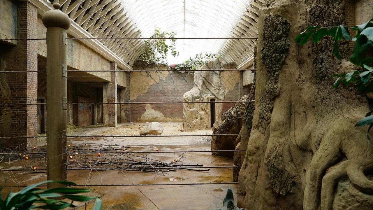 Das alte Elefantenhaus im Leipziger Zoo im Stil eines indischen Tempels steht unter Denkmalschutz und wurde artgerecht umgebaut