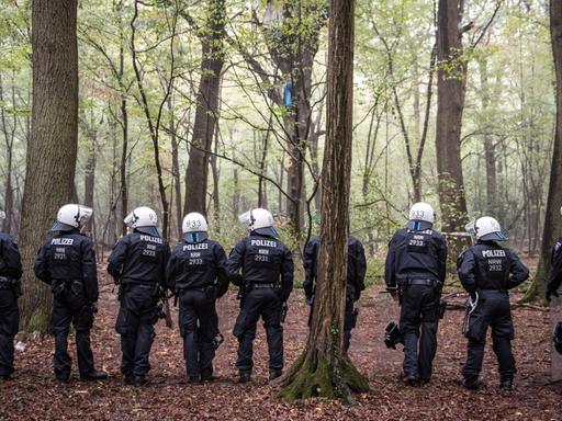 Polizisten stehen im Hambacher Forst in einer Reihe zwischen Bäumen.