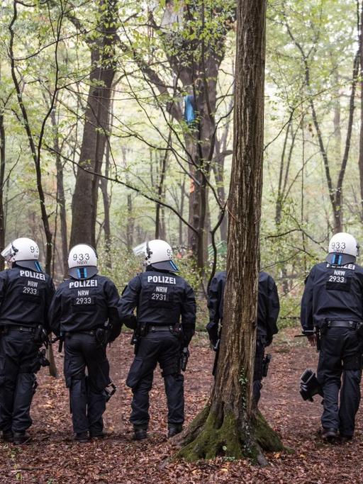 Polizisten stehen im Hambacher Forst in einer Reihe zwischen Bäumen.