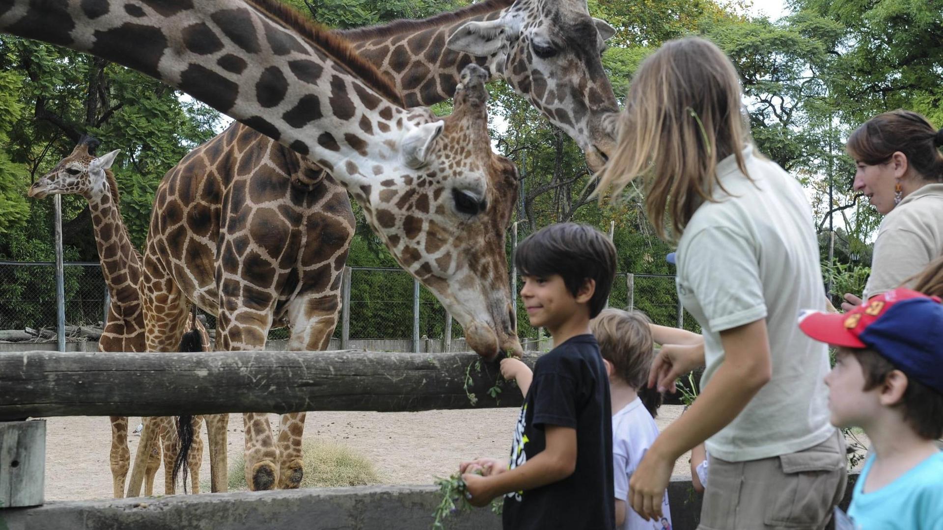 Buenos Aires - Aus Zoo wird Ökopark | deutschlandfunk.de