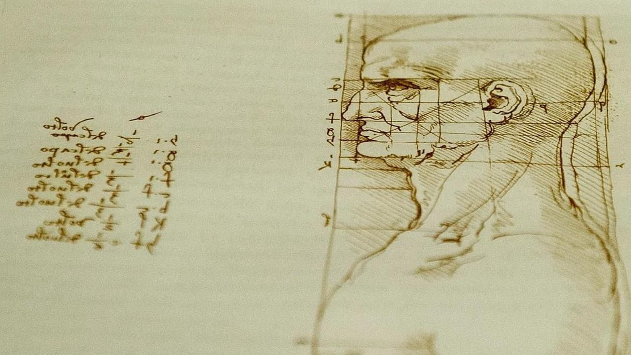 Detail einer Zeichnung von Leonardo da Vinci in der Ausstellung " The Universal Man" in Venedig. Detail einer Zeichnung von Leonardo da Vinci in der Ausstellung " The Universal Man" in Venedig.