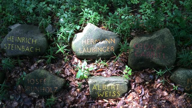 Steine an einem Waldweg, in denen Namen eingemeißelt sind, die mit Farbe ausgemalt wurden.
