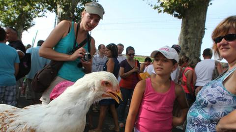 Bauernmarkt in Louhans im französischen Burgund. Zwei Frauen und ein Kind schauen sich ein Huhn an.