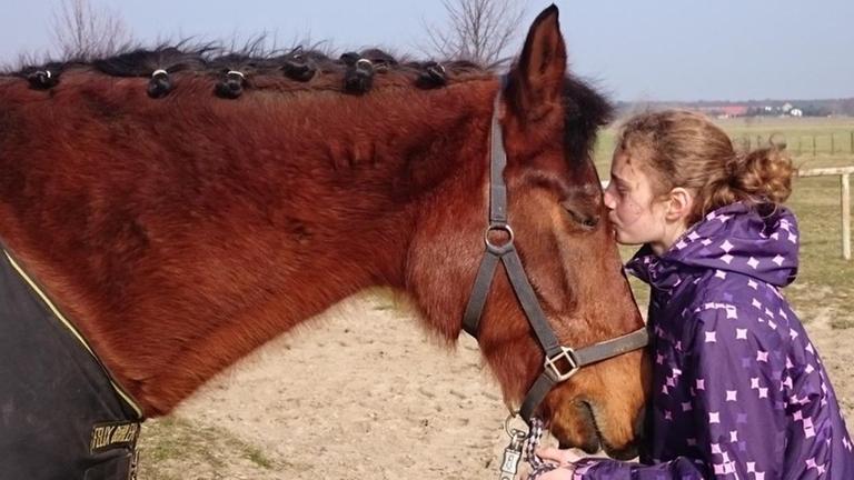 Eine Frau streichelt ein Pferd. Eine Frau streichelt ein Pferd.