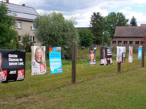 Wahlplakate vor der Landtagswahl in Mecklenburg-Vorpommern