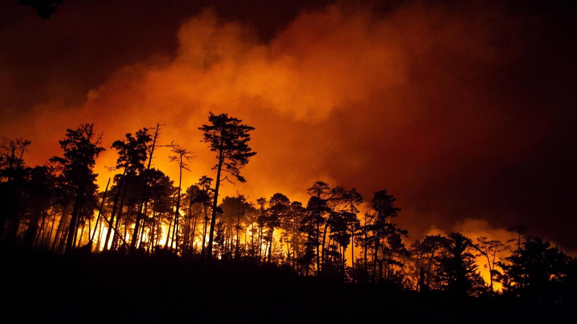 Waldbrände wüten in den Bergen von Santa Cruz