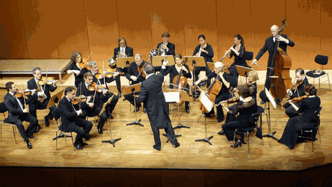 Das Südwestdeutsche Kammerorchester Pforzheim