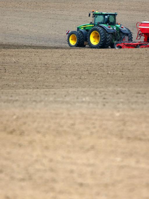 Ein Traktor mit einer Sämaschine fährt über einen Acker in der Nähe von Püttelkow (Mecklenburg-Vorpommern) und bringt Saatgut aus.