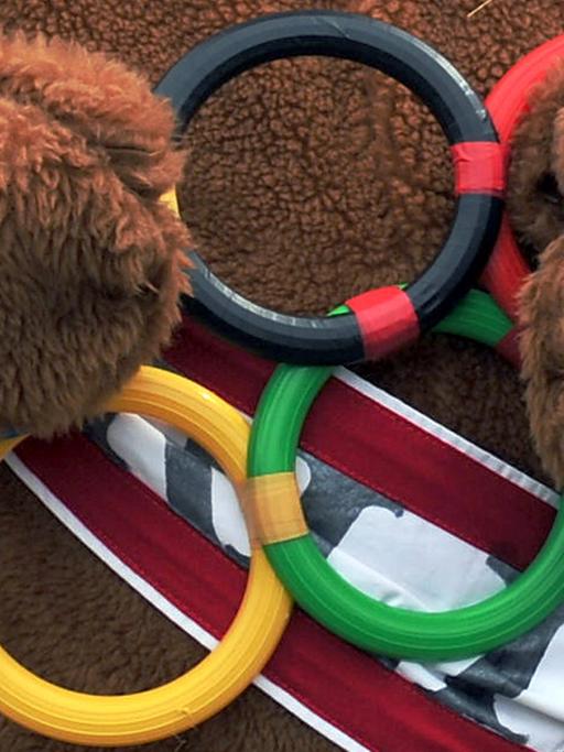 Ein als Bär verkleideter Mann streckt die Hände durch symbolische Olympische Ringe.