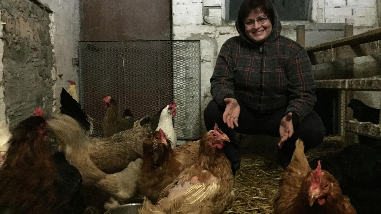 Regina Jaeger und ihre Hühner: Kampf um das Tierwohl Regina Jaeger und ihre Hühner: Kampf um das Tierwohl