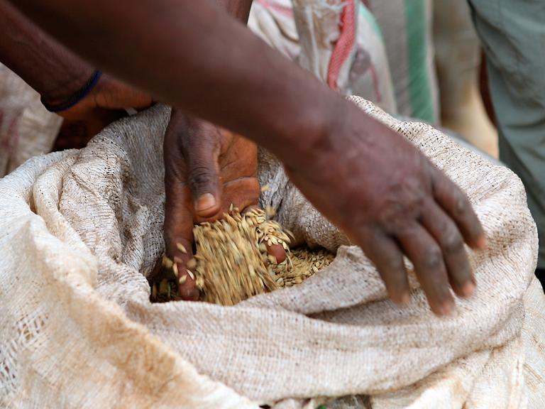 Reisversorgung auf einem Markt in der Demokratischen Republik Kongo.