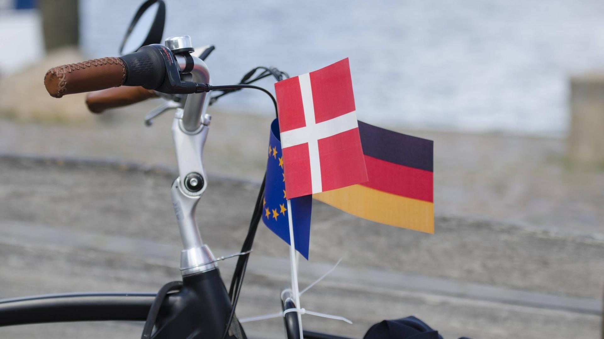 Fahradlenker mit deutscher, dänischer und europäischer Fahne Fahradlenker mit deutscher, dänischer und europäischer Fahne