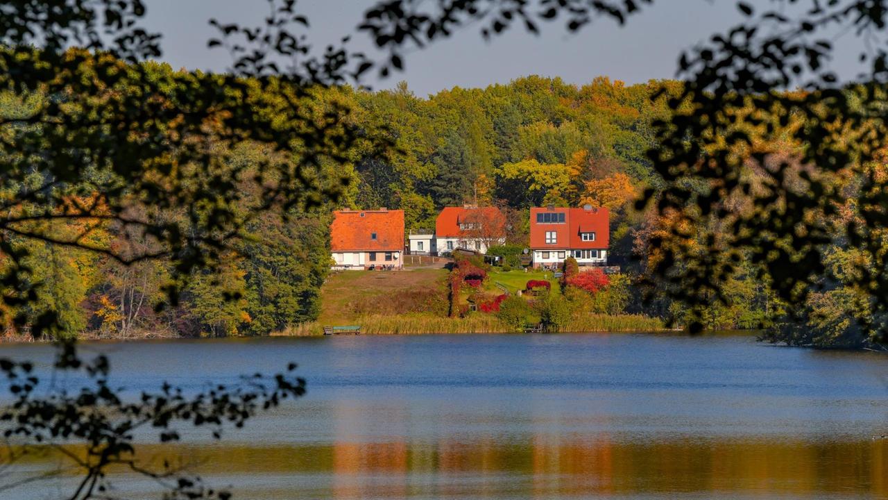 Eine Handvoll Häuser stehen an einem Seeufer, dahinter Wald, im Vordergrund Zweige: der Ort Siehdichum im brandenburgischen Schlaubetal, Blick über den Hammersee im herbstlichen Naturpark Schlaubetal.
