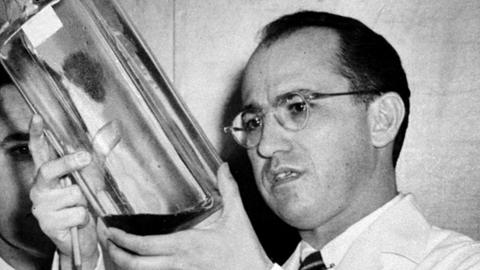 Jonas E. Salk arbeitet in seinem Labor am 12. April 1955.