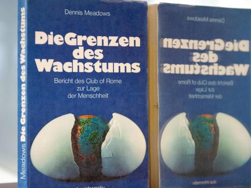 Der Bericht des Club of Rome zur Lage der Menschheit mit dem Titel "Die Grenzen des Wachstums" steht auf einem Tisch