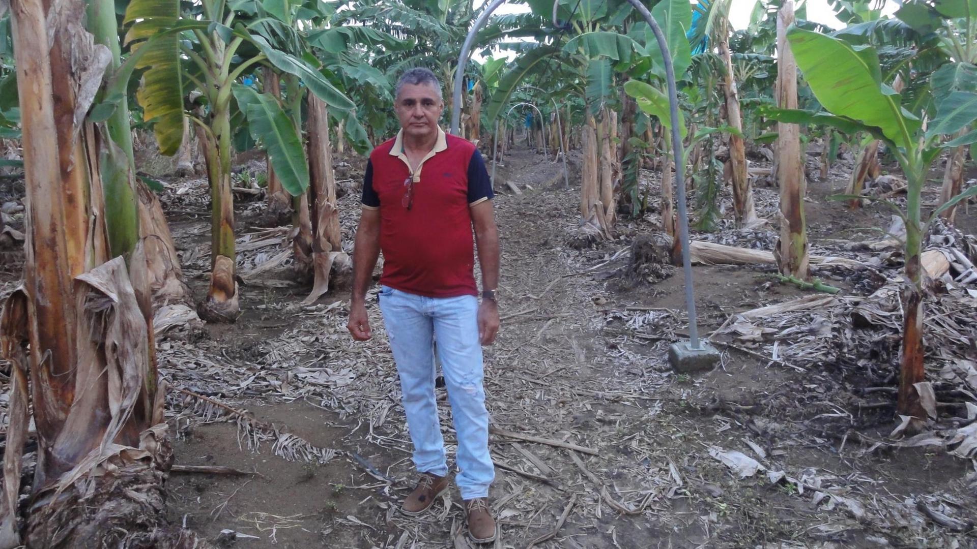 Obed López Mansillo auf seiner Bananenplantage in der Region Urabá nahe der kolumbianischen Karibikküste. Obed López Mansillo auf seiner Bananenplantage in der Region Urabá nahe der kolumbianischen Karibikküste.