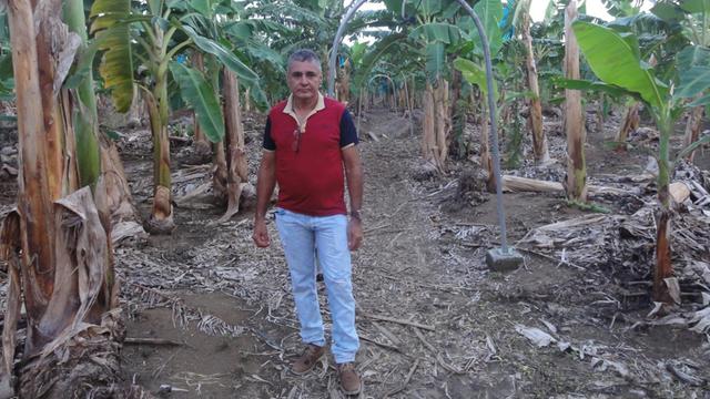 Obed López Mansillo auf seiner Bananenplantage in der Region Urabá nahe der kolumbianischen Karibikküste.