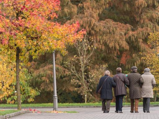 Vier Senioren gehen im Herbst auf der Bodenseeinsel Mainau spazieren.