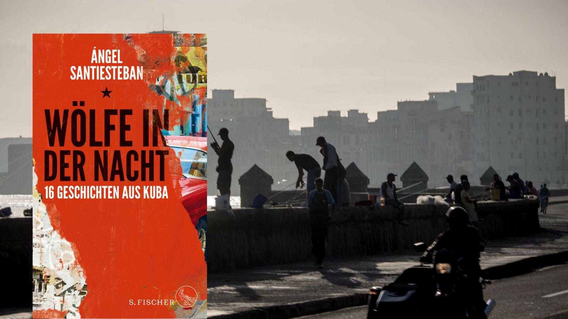 Buchcover: Ángel Santiesteban: „Wölfe in der Nacht“ Buchcover: Ángel Santiesteban: „Wölfe in der Nacht“