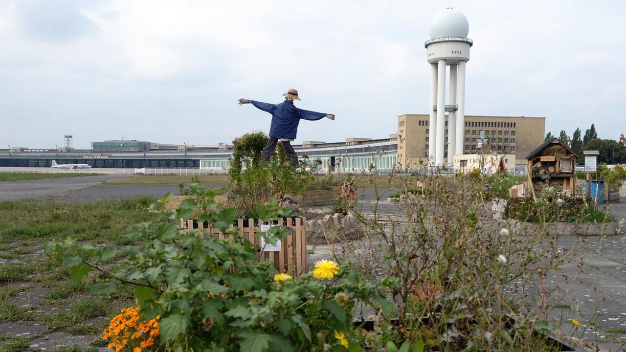 Eine Vogelscheuche steht am 22.09.2013 in einer Art Stadtgarten auf dem Tempelhofer Feld in Berlin. Im Hintergrund sieht man die Hangars des frühen Flughafens. Eine Vogelscheuche steht am 22.09.2013 in einer Art Stadtgarten auf dem Tempelhofer Feld in Berlin. Im Hintergrund sieht man die Hangars des frühen Flughafens.