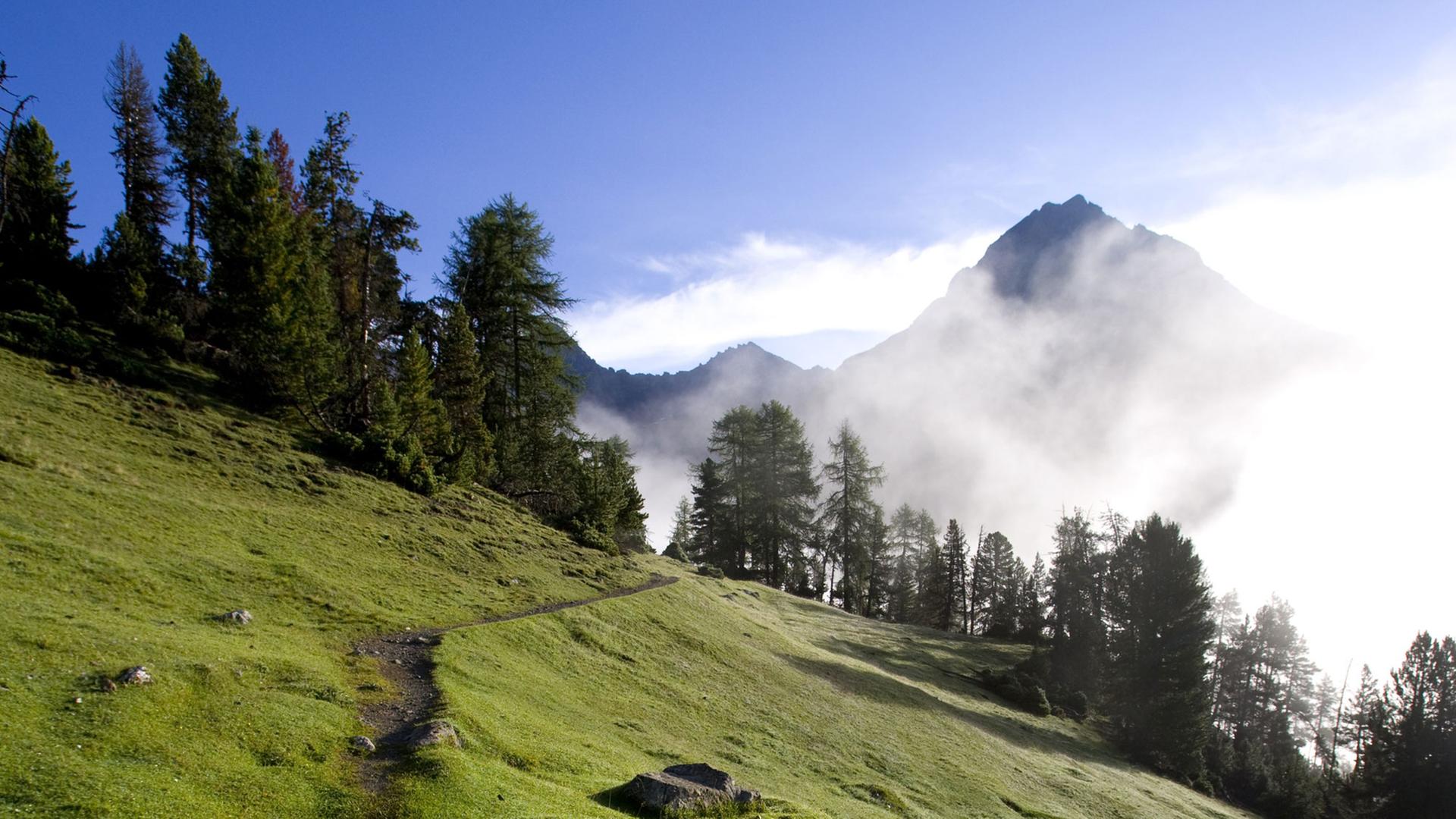 Wiesen, Bäume und Bergpanorama im Nationalpark im Engadin im schweizerischen Kanton Graubünden Wiesen, Bäume und Bergpanorama im Nationalpark im Engadin im schweizerischen Kanton Graubünden