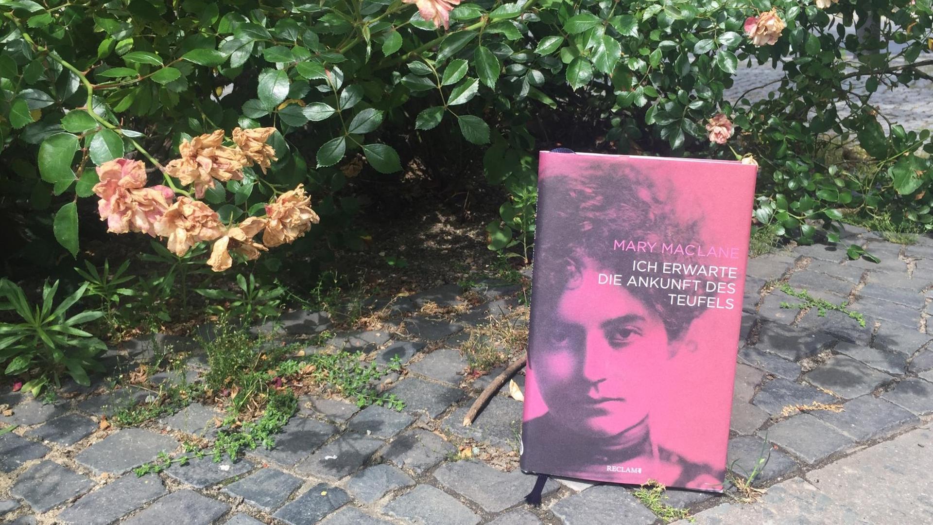 Das Buch "Ich erwarte die Ankunft des Teufels" von Mary MacLane steht an einen blühenden Busch gelehnt. Das Buch "Ich erwarte die Ankunft des Teufels" von Mary MacLane steht an einen blühenden Busch gelehnt.