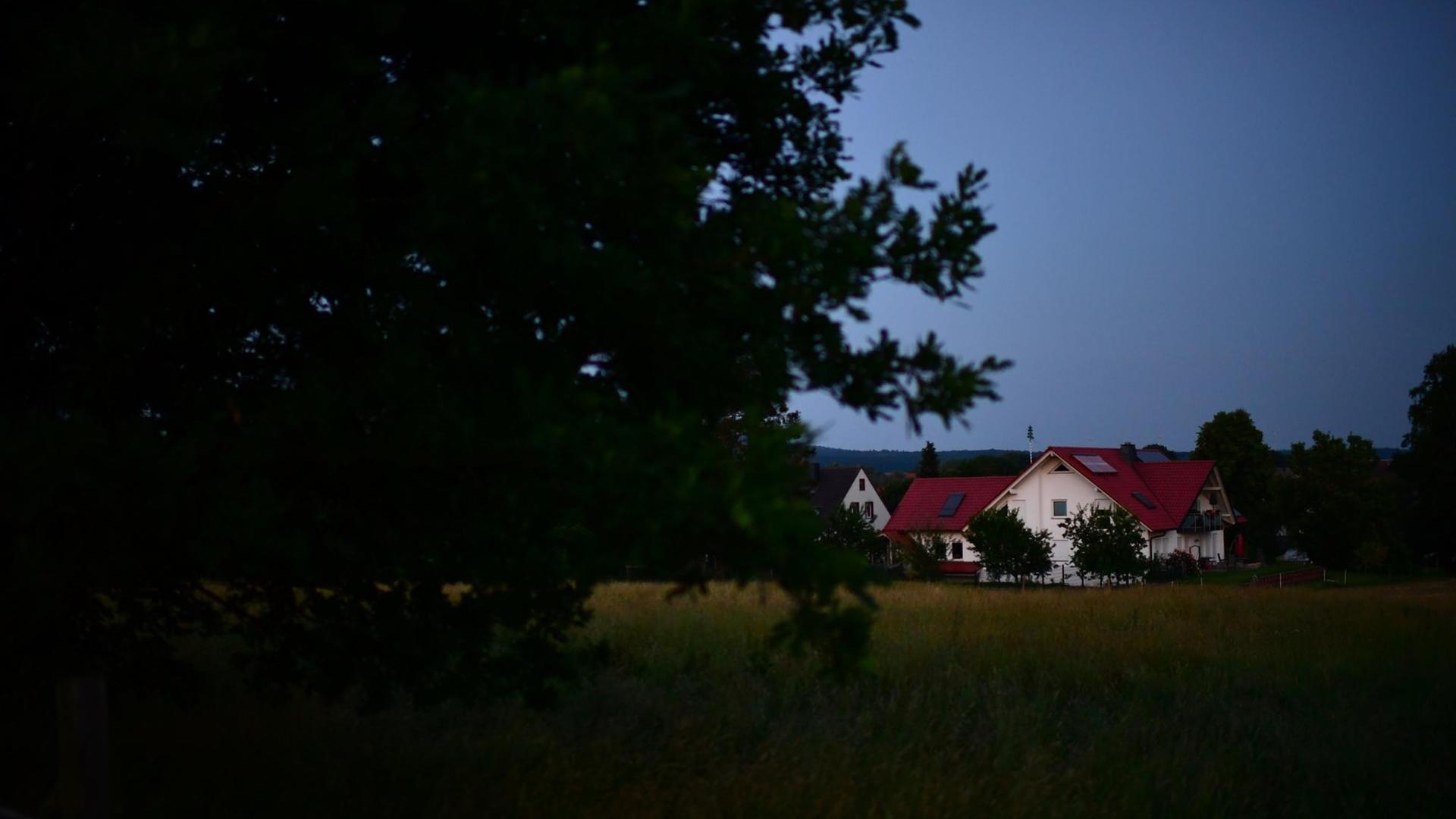 Im Vordergrund ein Baum, im Hintergrund auf einer Wiese ein Einfamilienhaus. Das Bild hat eine düstere Anmutung. Im Vordergrund ein Baum, im Hintergrund auf einer Wiese ein Einfamilienhaus. Das Bild hat eine düstere Anmutung.