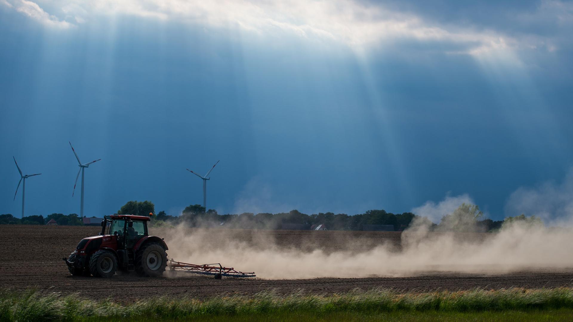 Man sieht einen Traktor als schwarze Silhouette und die nachfolgende Staubwolke im Gegenlicht. Durch die Wolken scheinen Sonnenstrahlen.