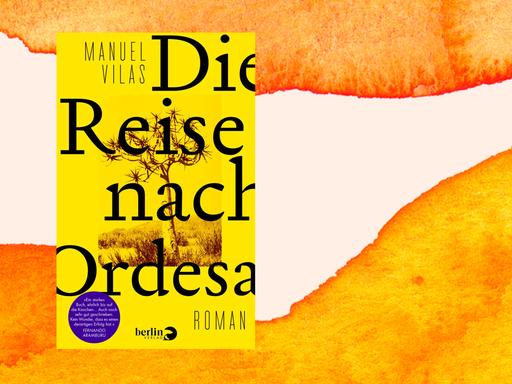 Cover des Buchs "Die Reise nach Ordesa" von Manuel Vilas auf einem orangefarbenen Aquarellhintergrund